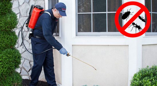 Özkanlar Böcek ve Haşere İlaçlama böcek ilaçlama ve haşere kontrolü — ilaclama-tr.com